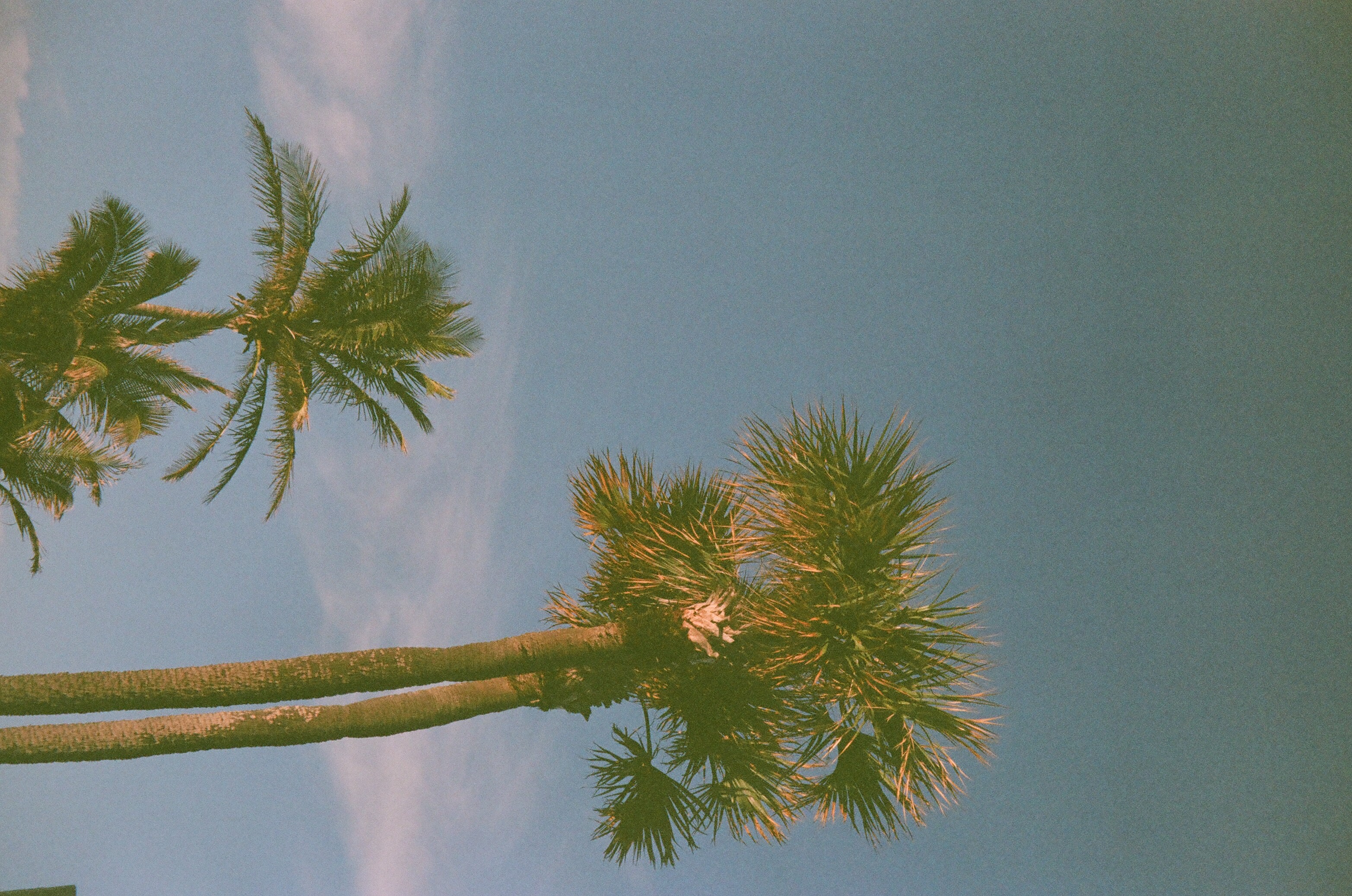 Outdoor landscape on film