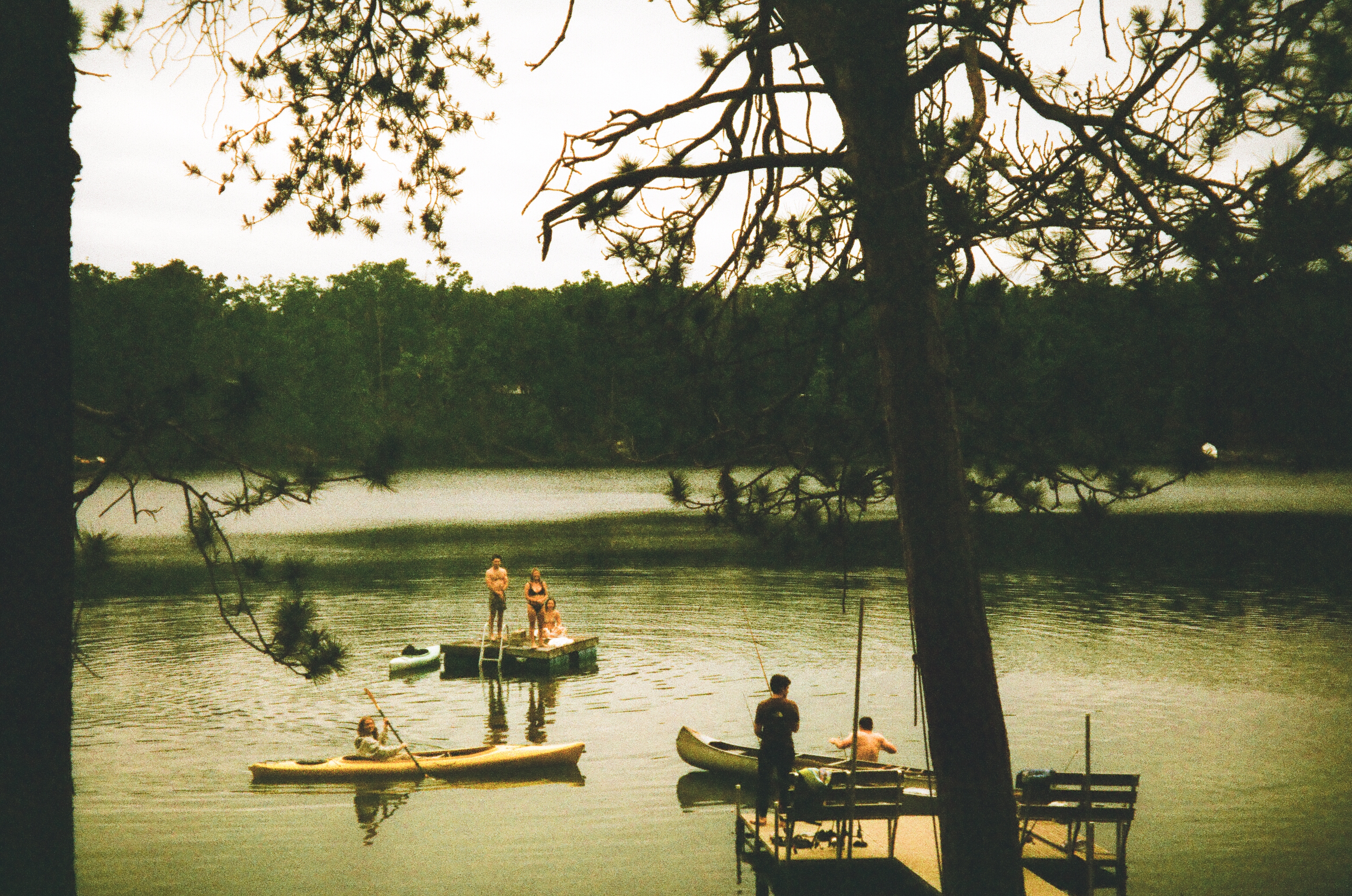 Northern lakeside view on film